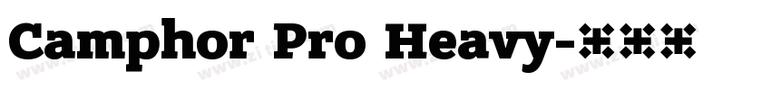 Camphor Pro Heavy字体转换